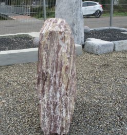  Vorschaubild A141-27672