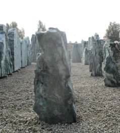  Vorschaubild AF160-19231