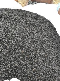  Vorschaubild AFG-BU-SPLITT-10681