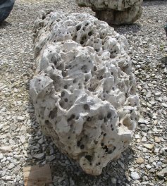  Vorschaubild AFG005-26979