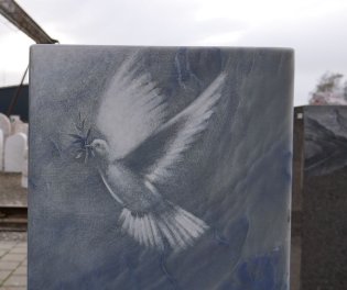  Vorschaubild AL138-32198