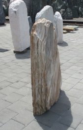  Vorschaubild B062-18623