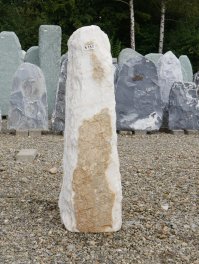  Vorschaubild B135-33841