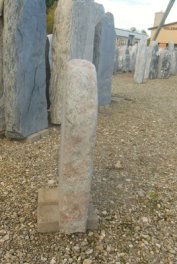  Vorschaubild BT071-2595