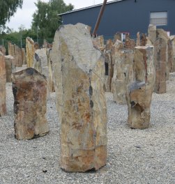  Vorschaubild BU198-35450