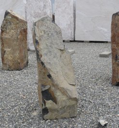  Vorschaubild BU228-35459