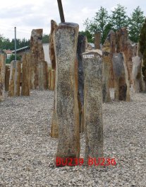  Vorschaubild BU236-31130