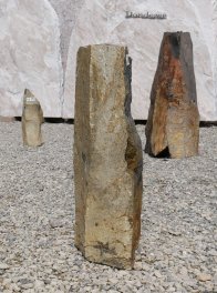  Vorschaubild BU237-33692