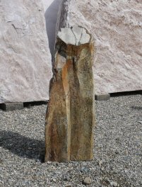  Vorschaubild BU243-33695