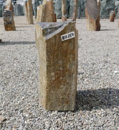  Vorschaubild BU250-33698