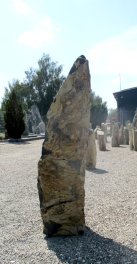  Vorschaubild BU254-24582