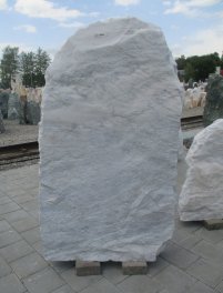  Vorschaubild CO100-28720