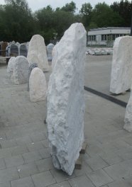  Vorschaubild CO100-28720