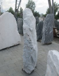  Vorschaubild CO100-28720