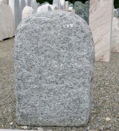  Vorschaubild CR006-35559