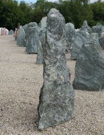  Vorschaubild DG145-31661