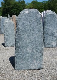  Vorschaubild EV100-35134