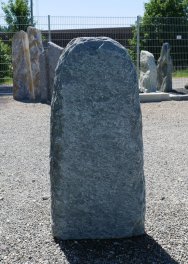  Vorschaubild EV100-35134