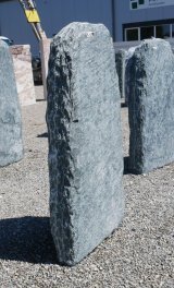  Vorschaubild EV100-35134