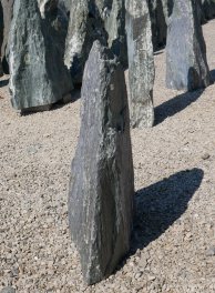  Vorschaubild EV147-31240