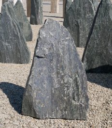  Vorschaubild EV147-31240