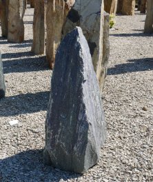  Vorschaubild EV147-31240