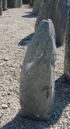  Vorschaubild EV149-31242