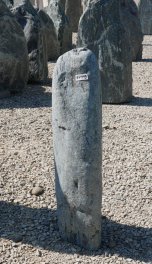  Vorschaubild EV149-31242