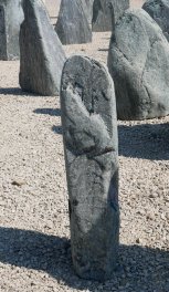  Vorschaubild EV149-31242