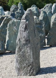  Vorschaubild EV154-31255