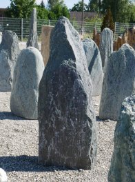  Vorschaubild EV154-31255