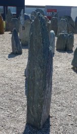  Vorschaubild EV154-31255