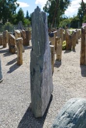  Vorschaubild EV200-35538