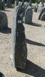  Vorschaubild EV203-35541