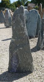  Vorschaubild EV206-35544