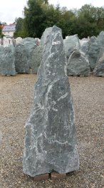  Vorschaubild EV230-31848