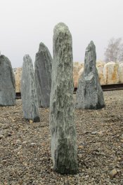  Vorschaubild EV244-25552