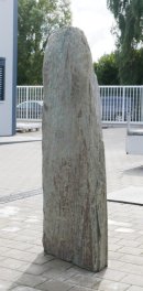  Vorschaubild EV299-35646