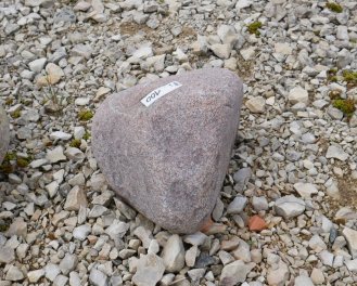  Vorschaubild FI100-35864