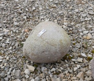  Vorschaubild FI101-35901