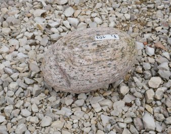  Vorschaubild FI103-35903