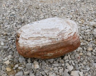  Vorschaubild FI105-35905