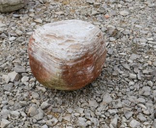  Vorschaubild FI105-35905