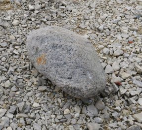  Vorschaubild FI106-35906