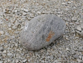  Vorschaubild FI106-35906