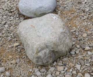  Vorschaubild FI107-35907