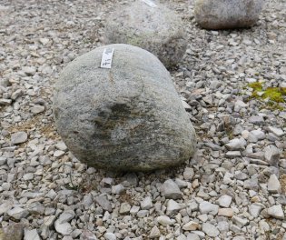  Vorschaubild FI108-35908