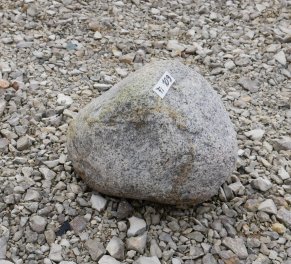  Vorschaubild FI109-35909