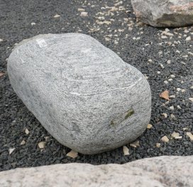  Vorschaubild FI113-35913