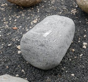  Vorschaubild FI113-35913